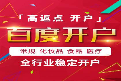 SEM搜索引擎优化成功案例，揭示优化策略与技巧